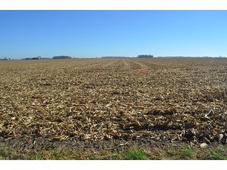 Tracts 4 & 5 - FARMLAND AUCTION - 165.5+/- ACRES OFFERED IN 5 TRACTS OR COMBINATIONS IN EAST ALLEN COUNTY